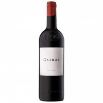 Bodegas Protos - Carroa 2021 (750ml) (750ml)