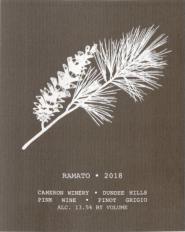 Cameron -  Pinot Gris Ramato Abbey Ridge Vineyard 2021 (750ml) (750ml)