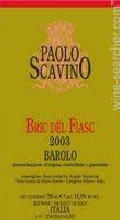 Paolo Scavino -  Barolo Bric Dl Fiasc 2019 (750ml) (750ml)